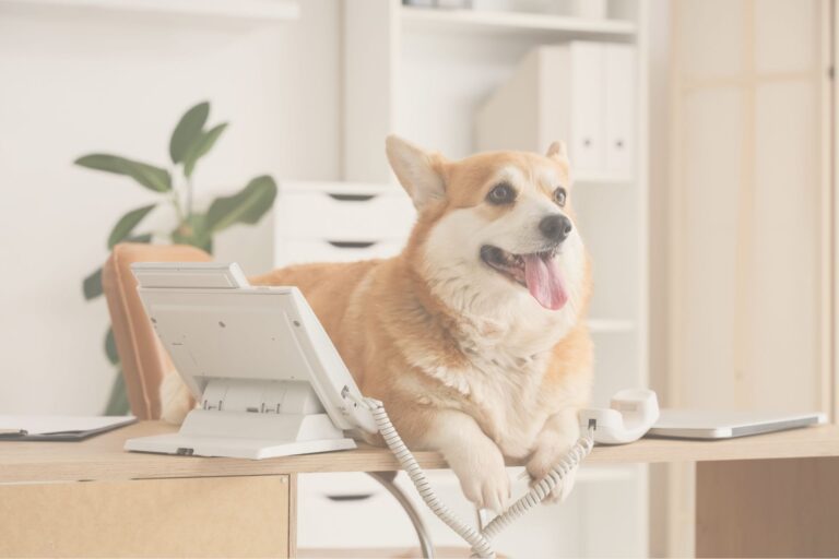 毛孩被陌生人溝通，該如何防護？