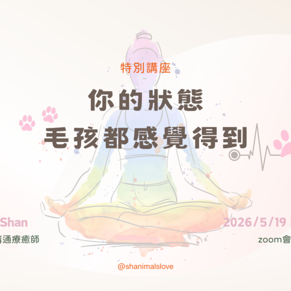 <線上講座>你的狀態，毛孩都感覺得到