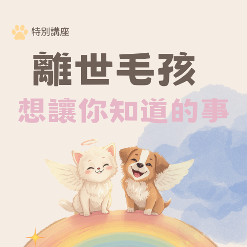 <線上講座>離世毛孩想讓你知道的事