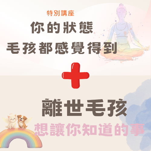 <線上講座>雙講座合購：讓你讀懂毛孩的每一刻